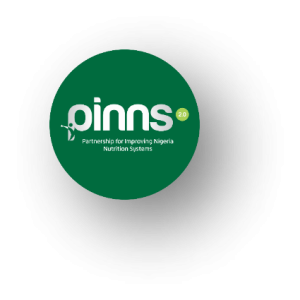 Read more about the article CS-SUNN PINNS PROJECT: OUR SUCCESS STORY