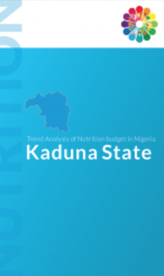 Kaduna State Budget Infographics