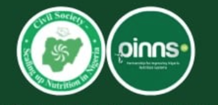 Read more about the article ANNOUNCING THE PINNS 2.0 PROJECT: