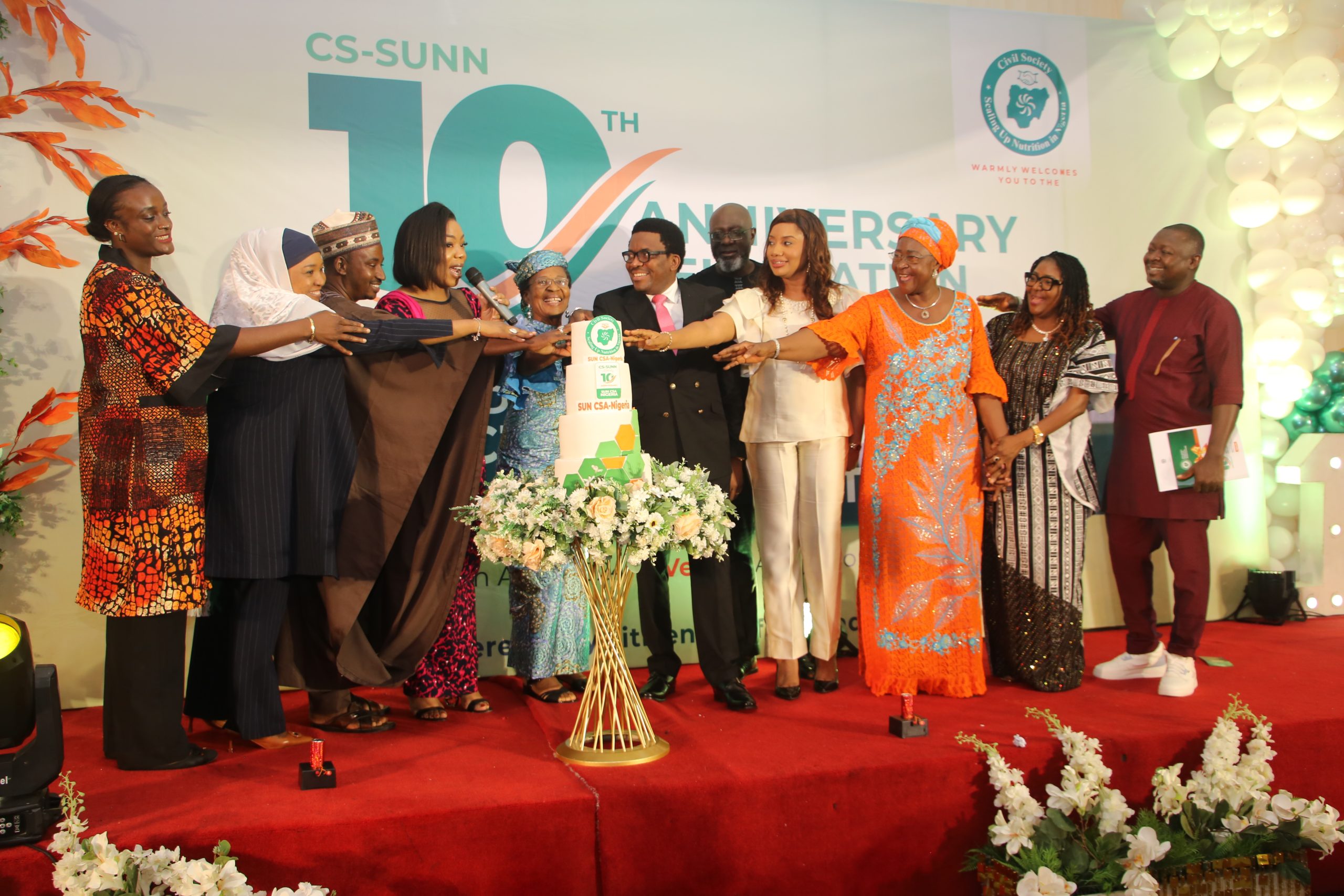 Read more about the article CS-SUNN’s Decade of Nutrition Advocacy: Reflecting on the Past and Shaping the Future.