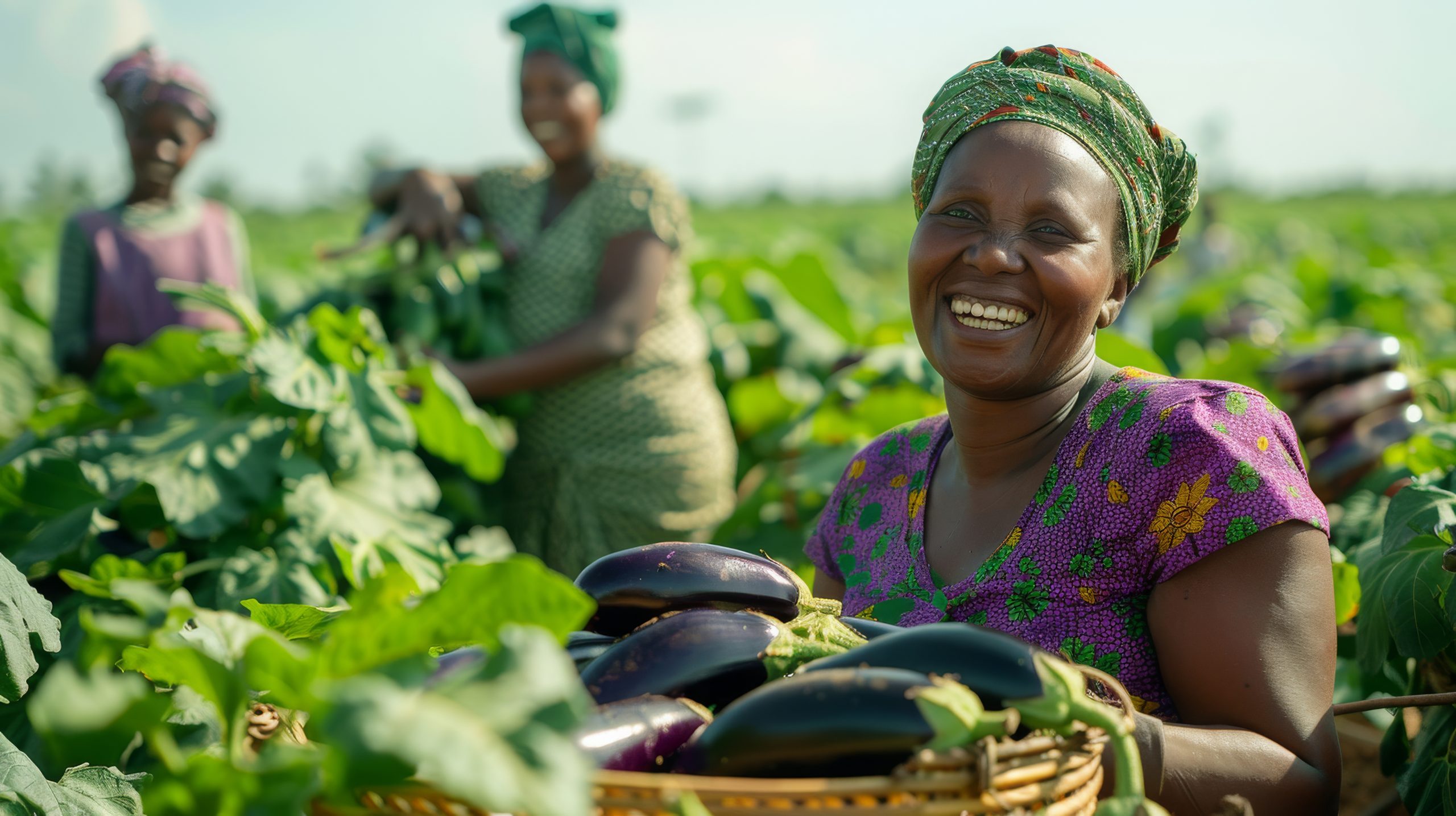 Tackling Malnutrition in Nigeria: Government Efforts, The Gaps and CS-SUNN’s Advocacy for Sustainable Food and Nutrition Security.
