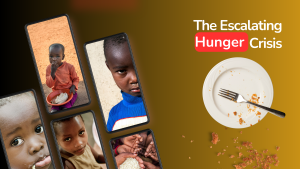 The Escalating Hunger Crisis: Projected 33 million Nigerians at risk in 2025.