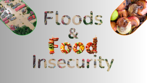 Floods and Food Insecurity: Over 1.5 million Hectares of Cropland Destroyed in 2024