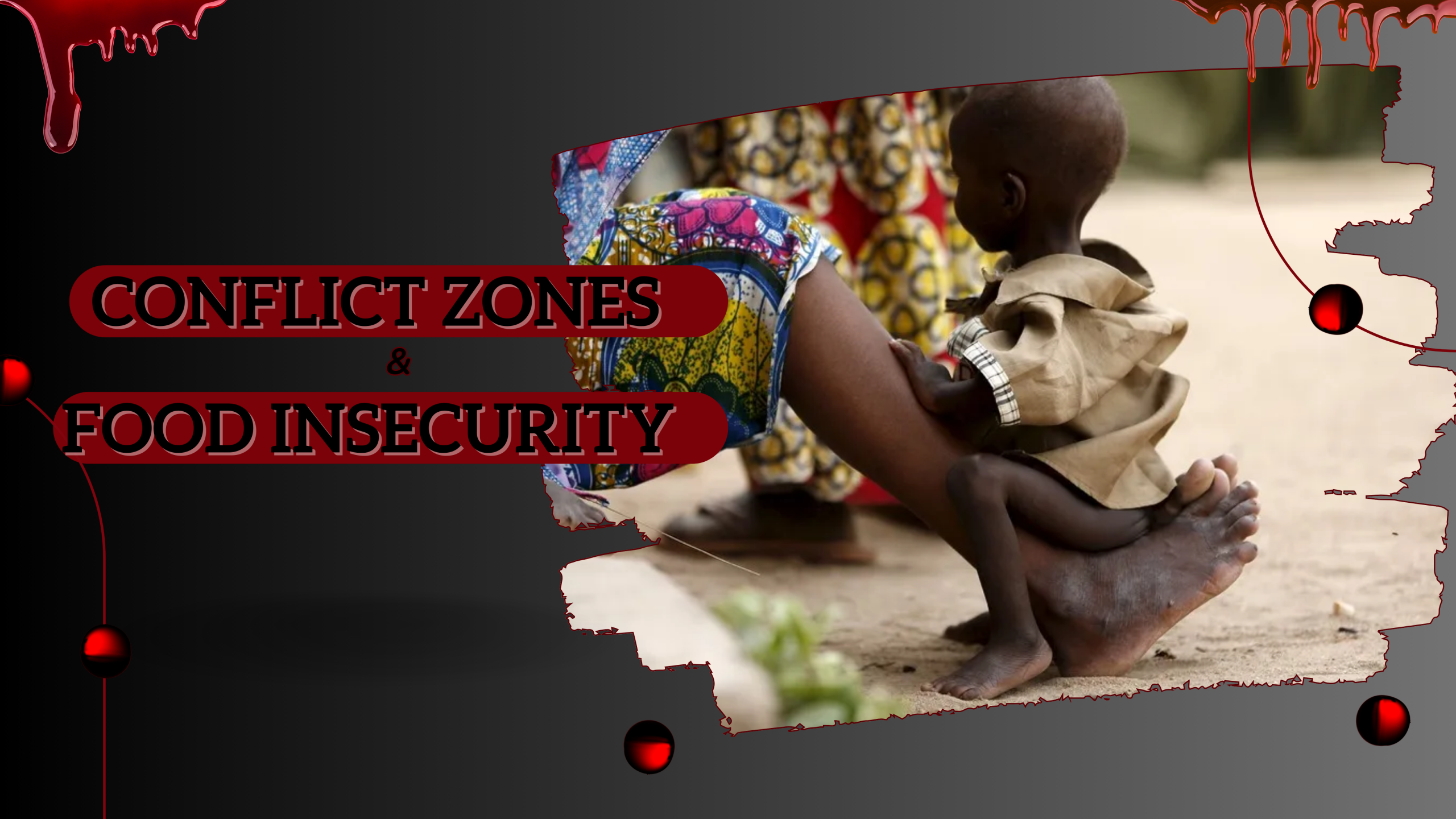 Read more about the article Conflict Zones and Food Insecurity: 1 in 4 People in Borno, Yobe, and Adamawa States Affected