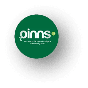 Read more about the article PINNS