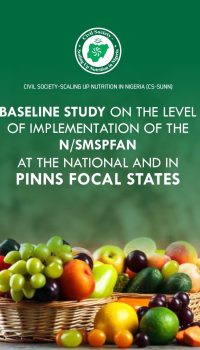 Baseline-Study-on-Implementation-of-N-SMPFAN-2022-pdf